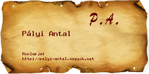 Pályi Antal névjegykártya